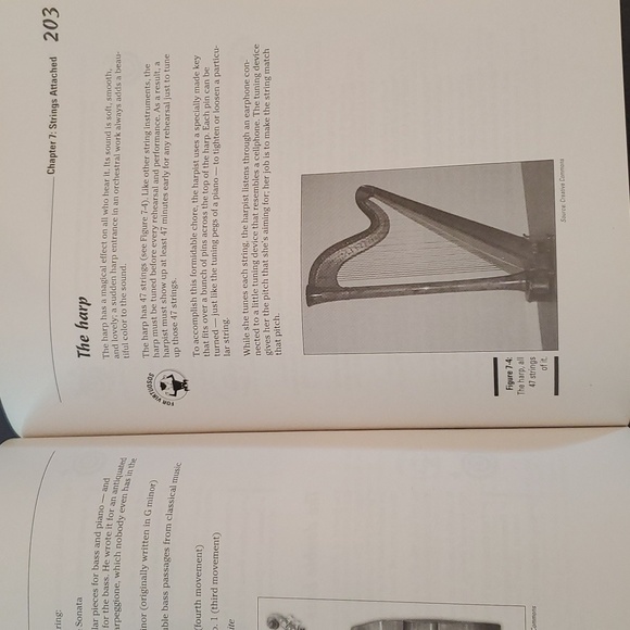 Classical Music for Dummies - Picture 2 of 4